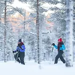 Hotel Wilderness Kieppi 4*