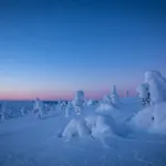 Hotel Wilderness Kieppi Saariselkä
