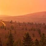 Wilderness Kieppi Hotel