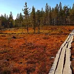 Wilderness Kieppi 4*