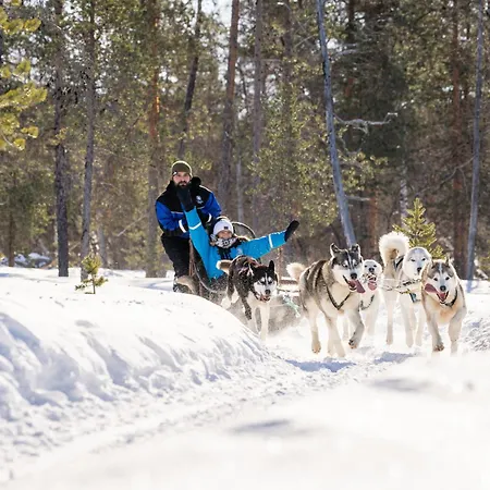Hotel Wilderness Kieppi Saariselkä