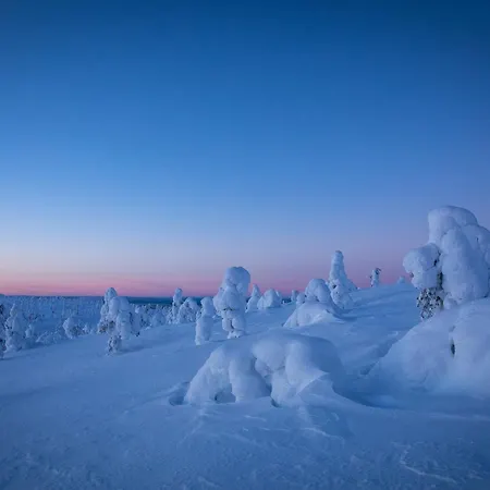 Hotel Wilderness Kieppi Saariselkä