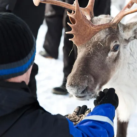 Wilderness Kieppi Hotel Saariselkä