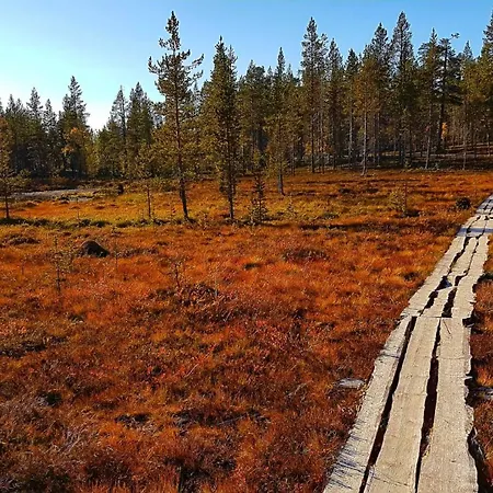 Wilderness Kieppi 4*